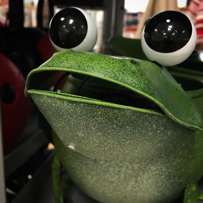 Green garden frog with bulging eyes on display at a department store.